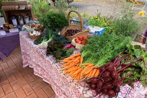 Bilpin Community Markets - Windsor Heritage Motel